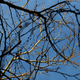 Illustration for article titled 30 Photos Taken Straight Up